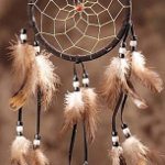 Применение спанбонда в аграрном секторе