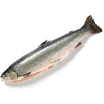 Как приготовить рыбу голец