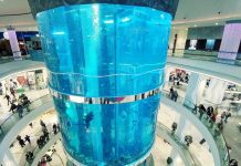 Чем же можно заняться в ТРЦ Океания?