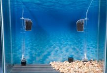 Фильтр для аквариума: зачем нужны и какие бывают?