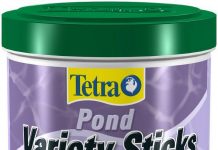 Как выбрать корм для прудовых рыб?