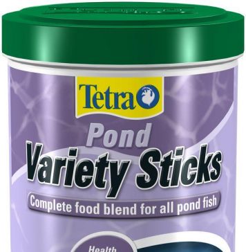 Как выбрать корм для прудовых рыб?