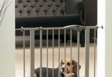 Что собой представляет барьер для собак в квартиру?