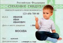 Как получить СНИЛС на ребенка: этапы оформления