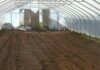 Виды грунтов для теплиц