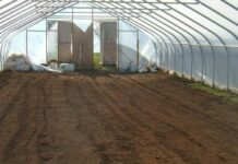 Виды грунтов для теплиц