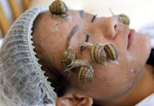 Муцин улитки в косметологии