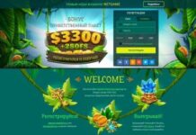 Казино NetGame: играйте онлайн круглосуточно