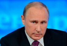 «Прямой линии» с Владимиром Путиным в этом году не будет