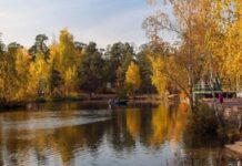 Тепло придёт в начале недели в Челябинскую область