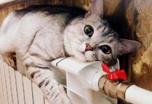 В квартирах магнитогорцев потеплеет в ближайшее время