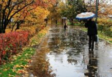 Ветрено и дождливо: что готовит погода для Челябинской области