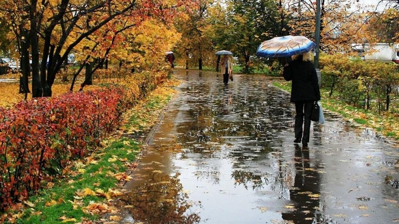 Ветрено и дождливо: что готовит погода для Челябинской области