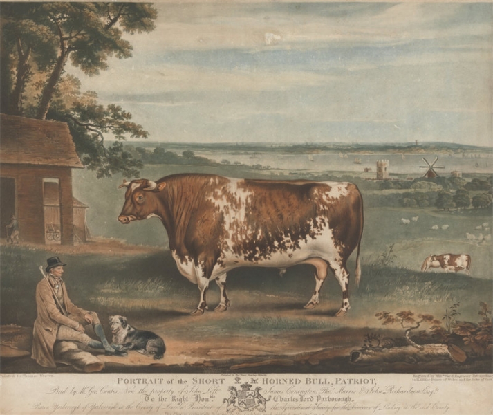 Зачем в XIX веке фермеры заказывали портреты своих толстых животных