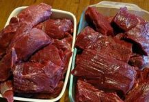 Особенности и вкусовые качества лосиного мяс