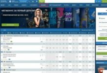 Виды бонусов в букмекерской конторе 1xBet