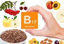 Польза витамина В17 для людей