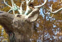 Домик хоббита и лох-несские чудовища появились в Каслях