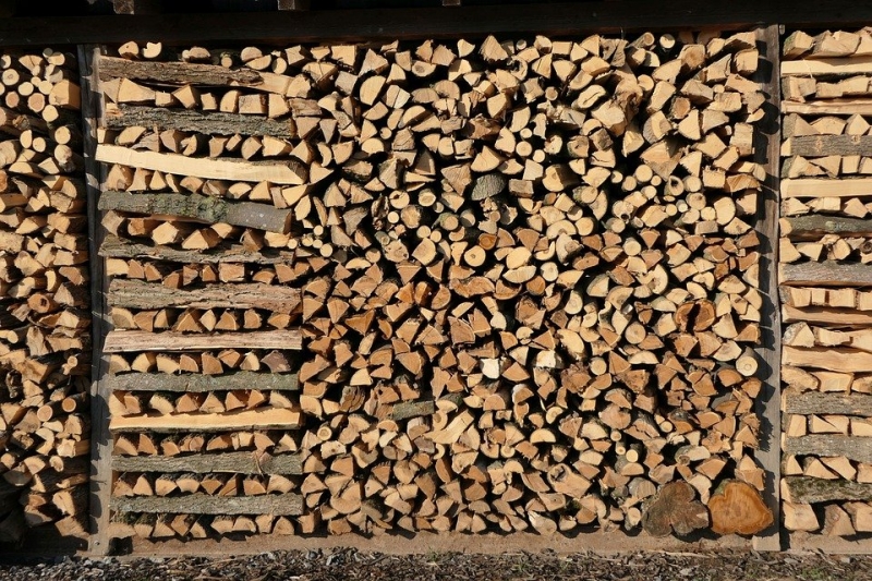 Как заказать дрова для пенсионеров на дачу бесплатно