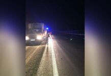 Минувшей ночью в Челябинской области сбили пешехода