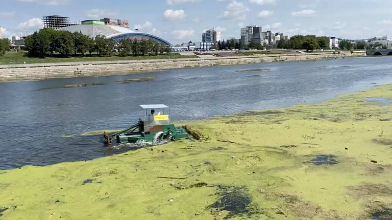 Очистка реки Миасс от растений может перерасти в уголовное дело