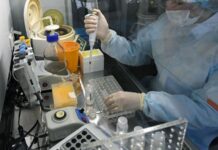 Рост продолжается: На Южном Урале выявлено ещё 123 больных коронавирусом