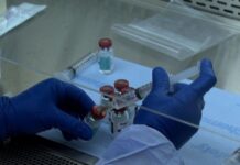 Владимир Путин объявил сроки массовой вакцинации от COVID-19