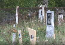 Жители Челябинской области устанавливают на могилы умерших питомцев православные кресты