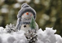 18 компаний Челябинской области уже присоединились к акции «Снеговики-добряки»