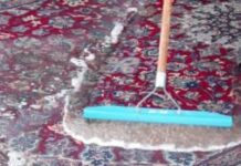 Типы химчистки ковров на дому