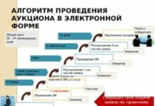 Госзакупки: пошаговая инструкция для начинающих