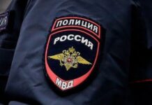 Безработный из Коелги хранил коноплю в подвале