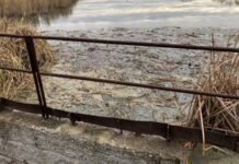 Более 250 миллионов рублей заплатит ПАО «ЧМК» за загрязнение реки Миасс