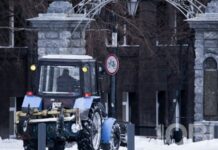 С дорог Челябинска вывезли почти 1000 тонн снега