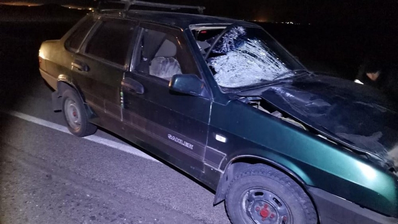 В Агаповском районе автомобилист сбил пешехода