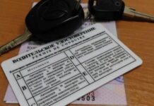 В России изменятся водительские права и ПТС