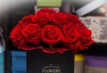 Розы: самый красивый и желанный подарок для каждой девушки