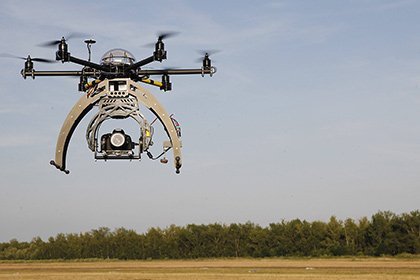 Инновации: в Израиле начали применять дроны при выпасе скота