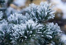 В пятницу днём в Челябинской области ожидается до -12 градусов