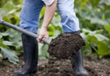 Почему техника необходима для работ в огороде?