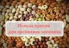 Польза орехов для организма человека