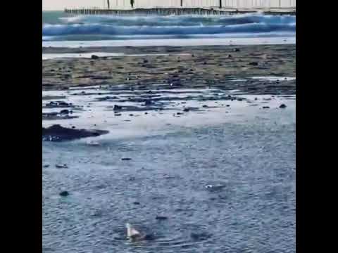 В Анапе у побережья Черного моря «закипела» вода: видео