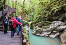 Самые интересные и популярные экскурсии в Сочи