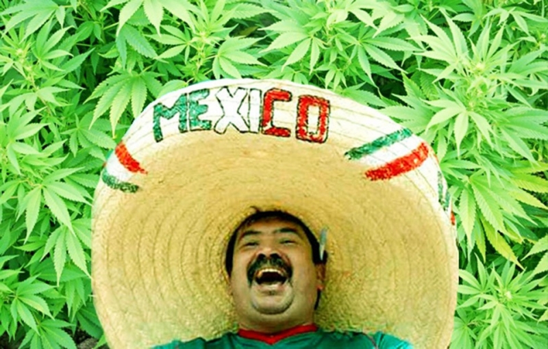 В Мексике марихуана одобрена по всей стране