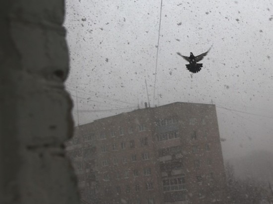 В Москве объявлена «желтая погодная опасность»: идет буран