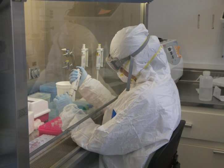 Занимающиеся коронавирусом ученые секретной британской лаборатории испытали «трепет»