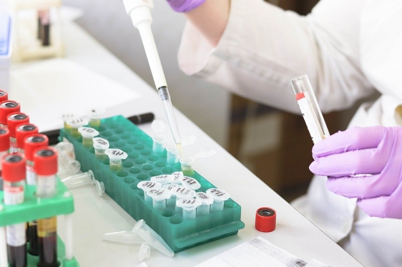 Занимающиеся коронавирусом ученые секретной британской лаборатории испытали «трепет»