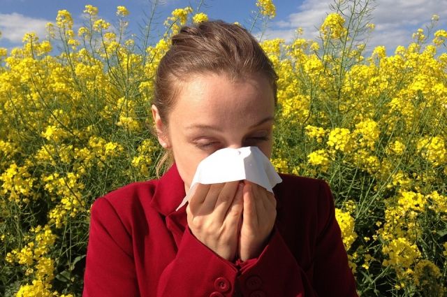 <br />
Доктор Евгений Комаровский назвал главные симптомы весенней аллергии                