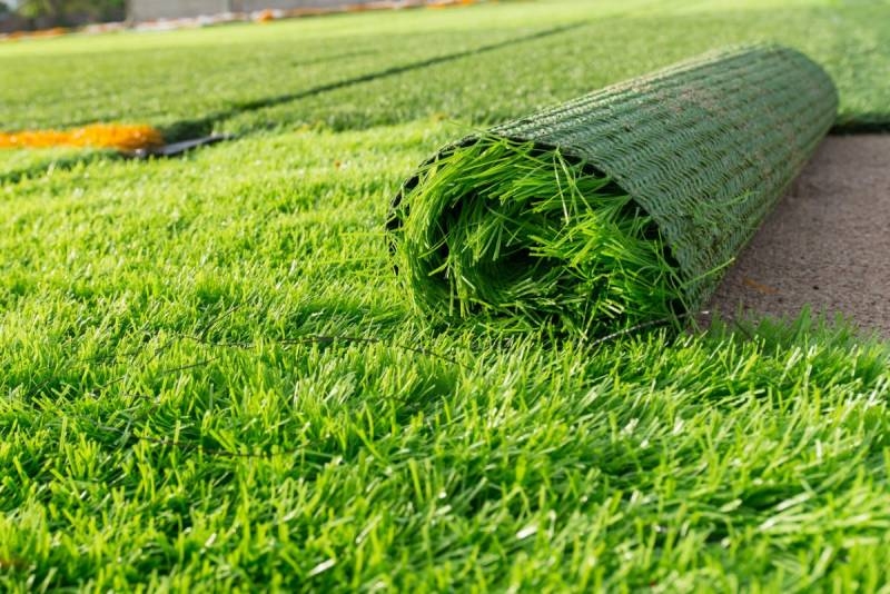 <br />
Как избавиться от травы на дачном участке и садовых дорожках в 2021 году                