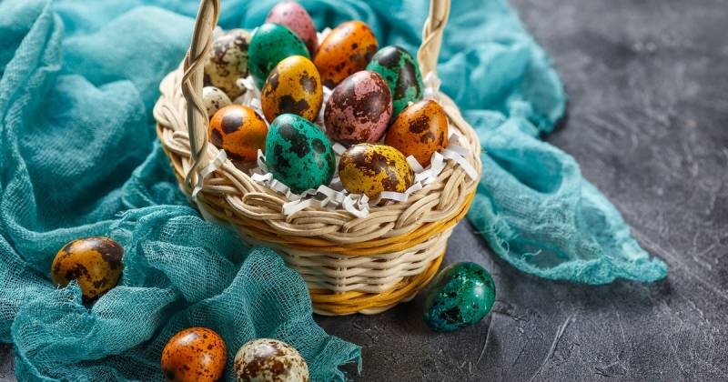 <br />
Красим яйца правильно: как преобразить перепелиные яйца на Пасху натуральными красителями                